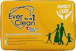 EverClean All-in-1 Health Soap - Family Care